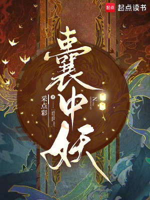 囊中妖囊中妖