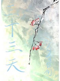 三十三天三十三天